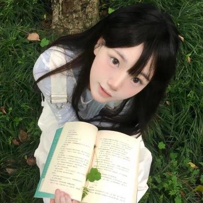 纸房子：全球热潮